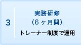 3. 実務研修（6ヶ月間）トレーナー制度で運用