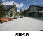 箱根の森